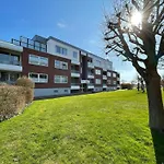 Vogelsand 343